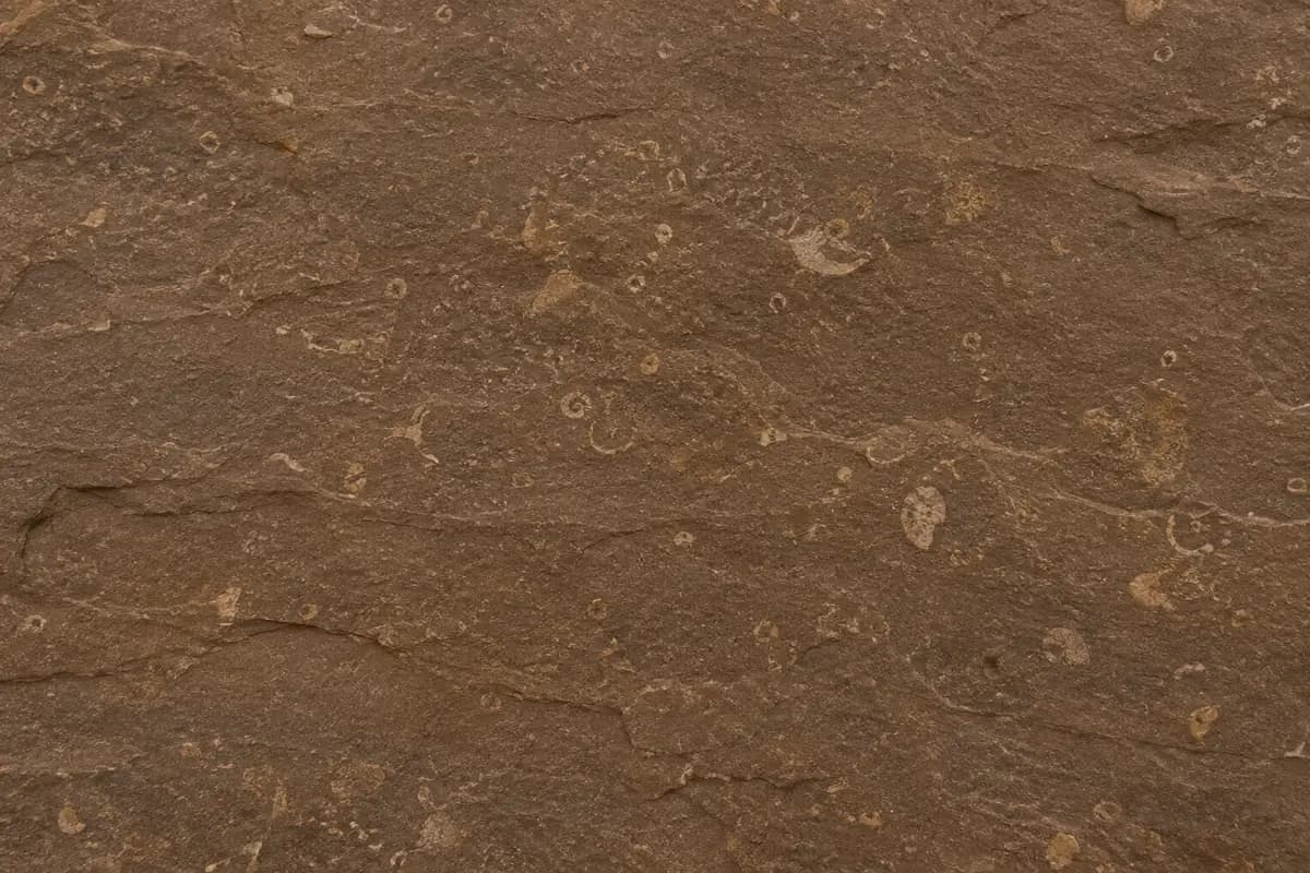 Fossil Chocolate Sandstone Sandstone material reference