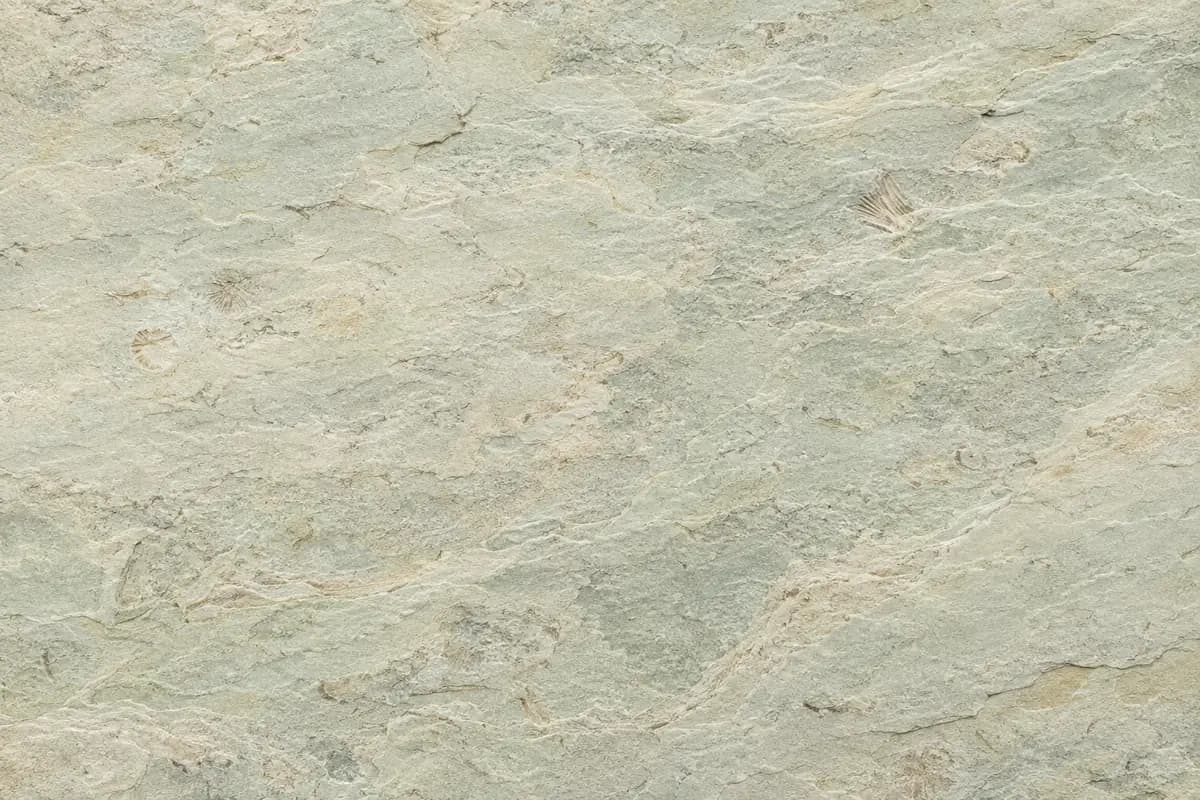 Fossil Mint Sandstone Sandstone material reference